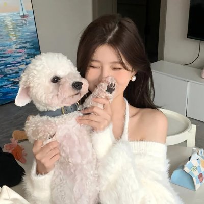 四十四只石狮子